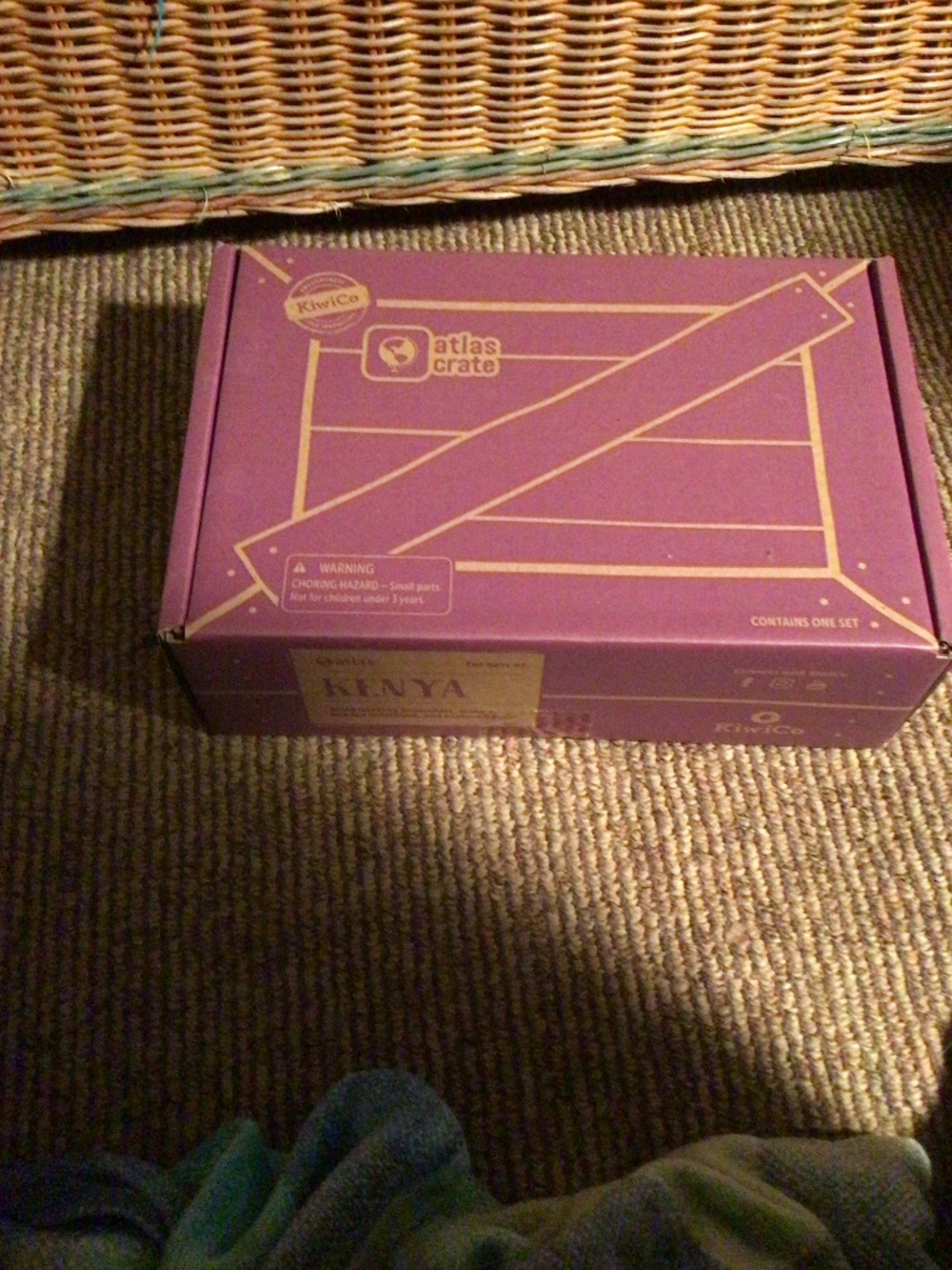 NWT kiwi atlas crate 6+ age learning craft kits